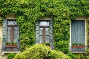 Fort Myers aluminum window shutters