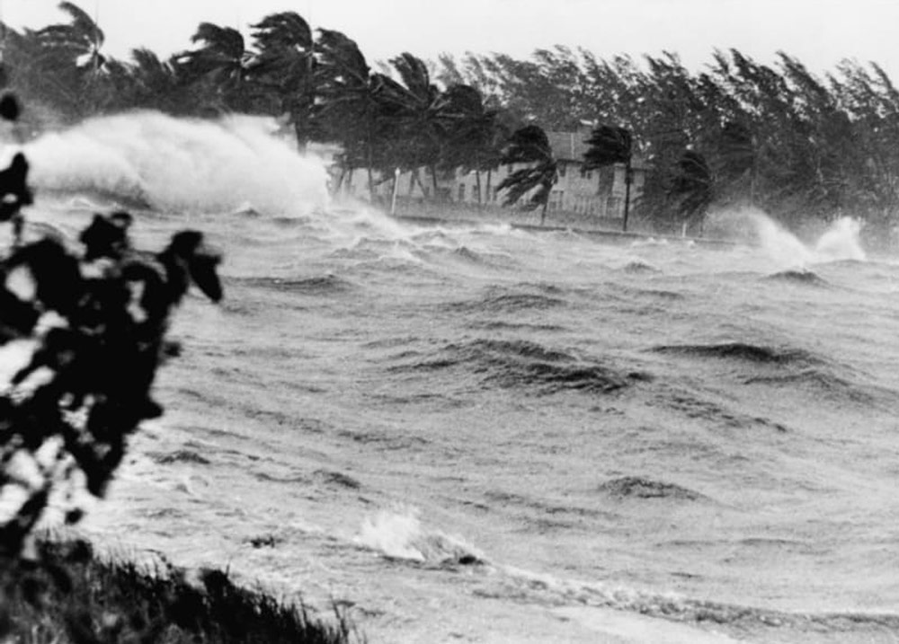 Storm Surge